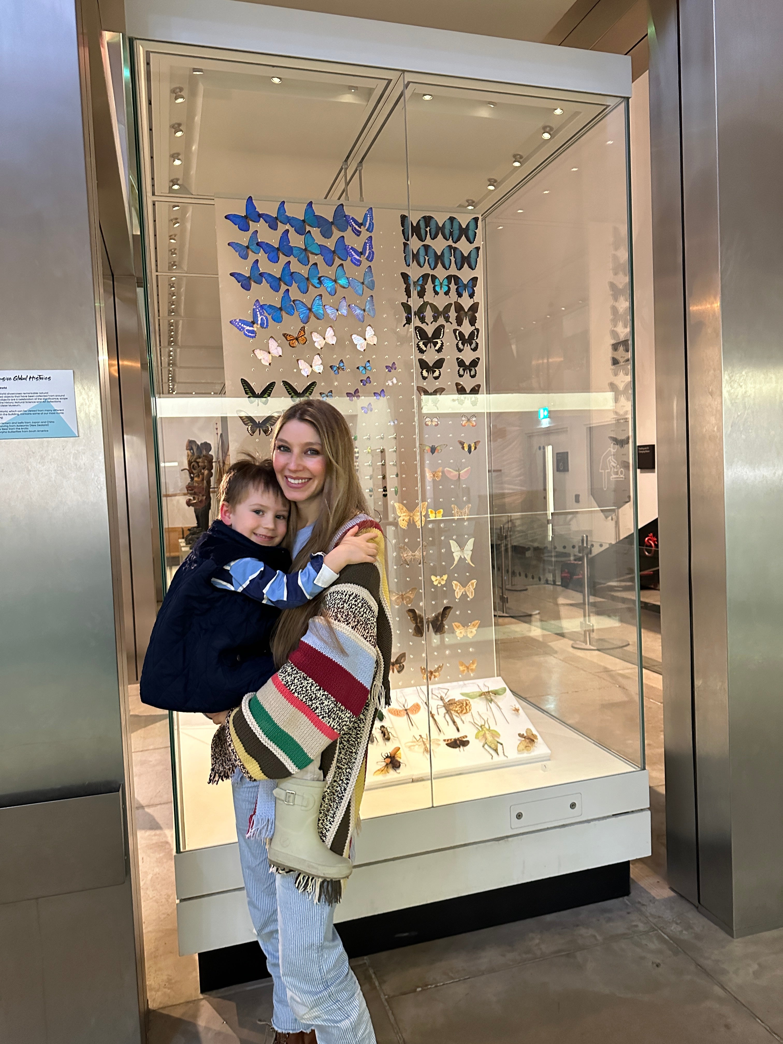 Blue Morpho Anaxibia Butterfly