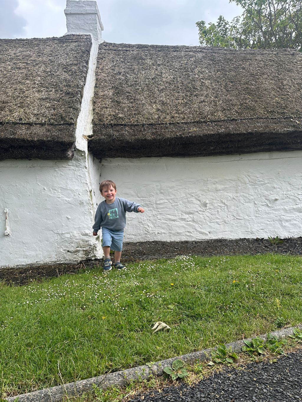 Irish Thatched Cottage