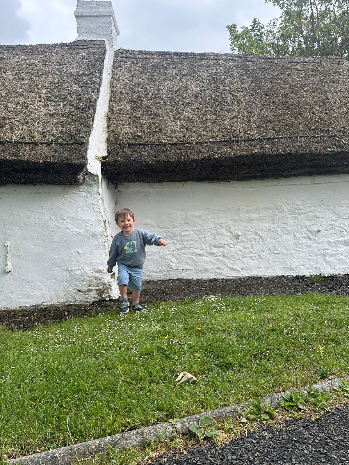 Irish Thatched Cottage