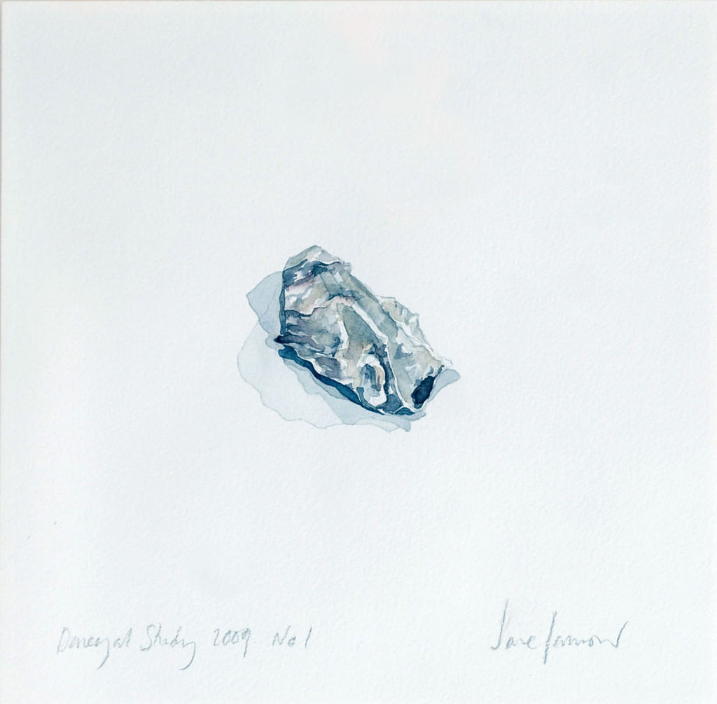 Oyster Shell