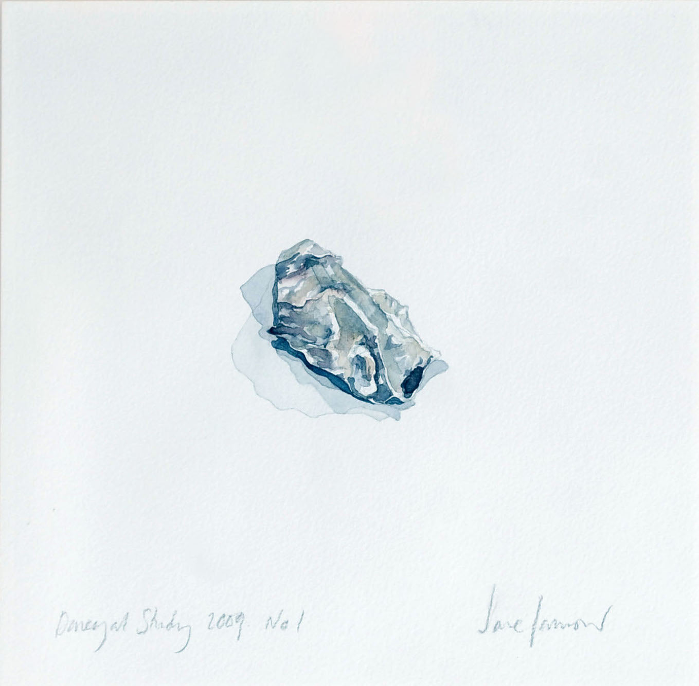 Oyster Shell