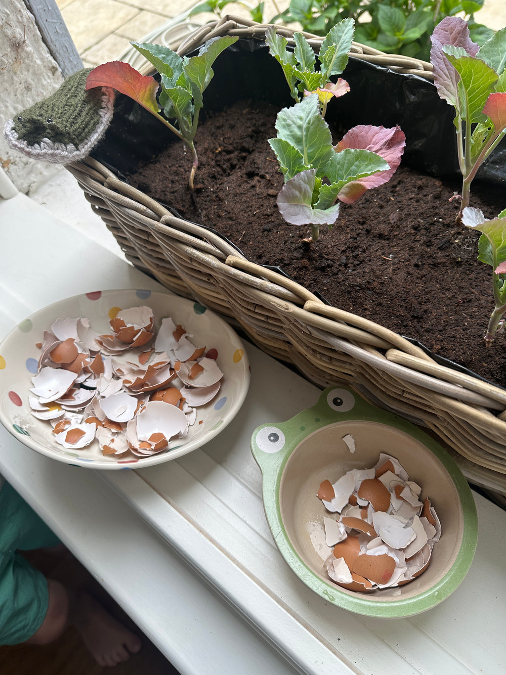 Farmhouse Eggcup