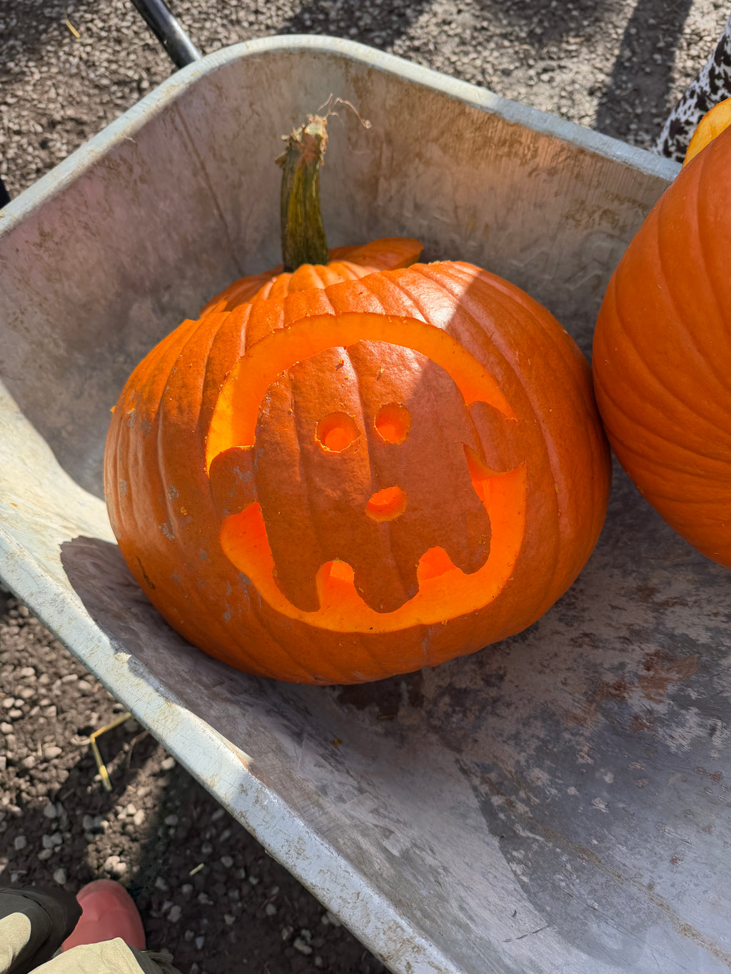 Original Pumpkin