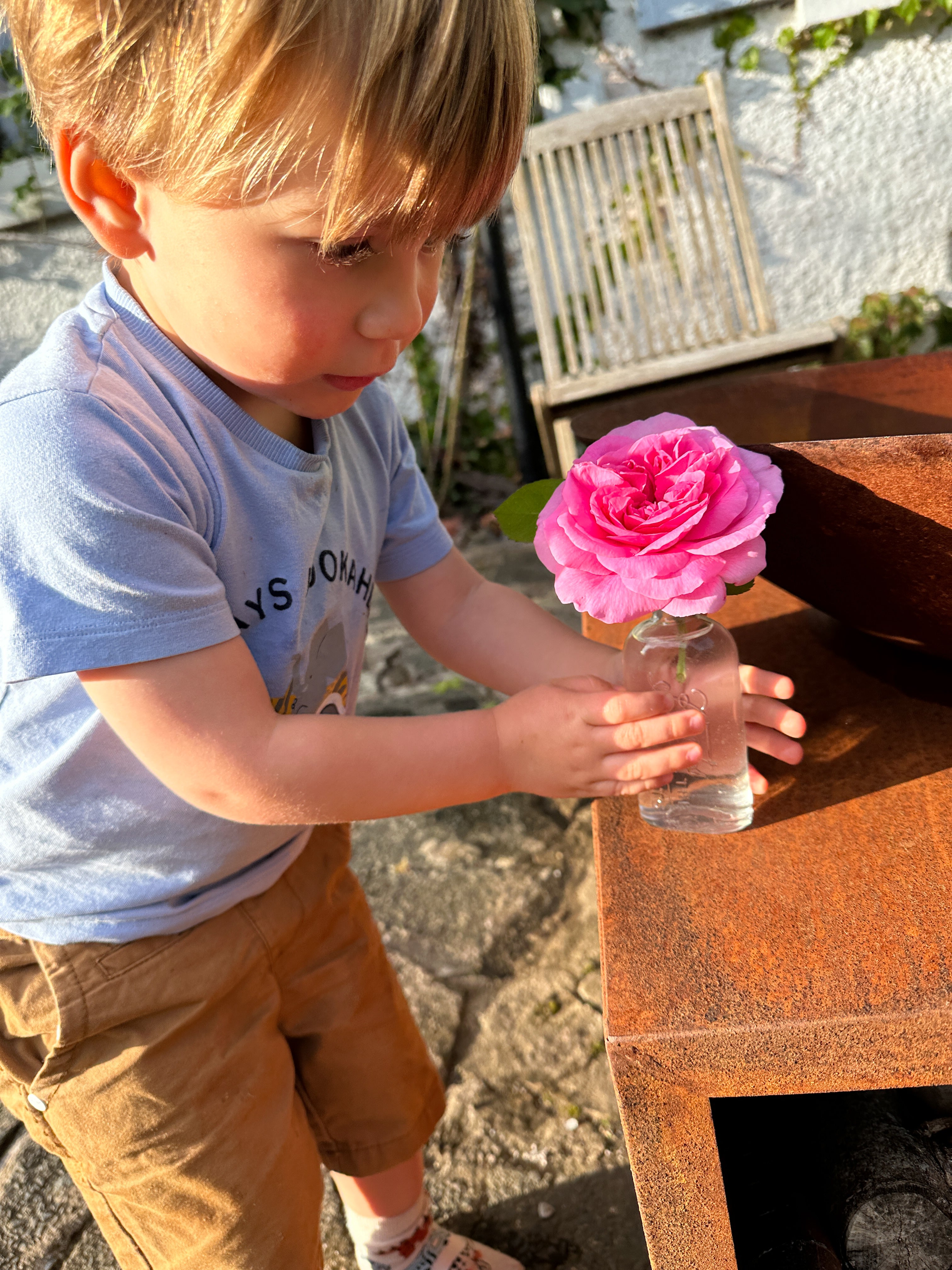 Rose