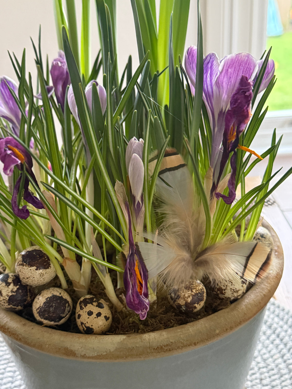 Farmhouse Eggcup