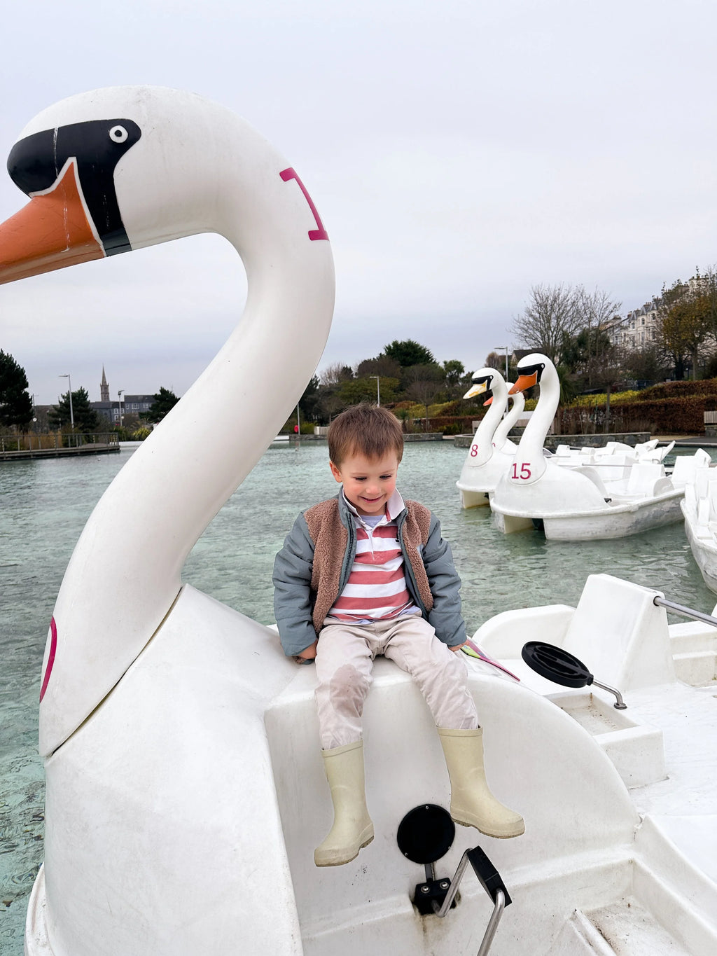 Swan