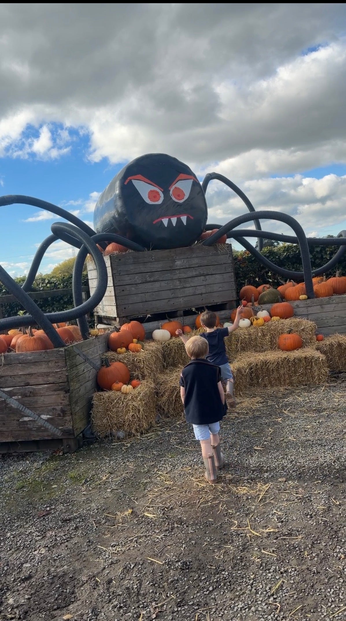 Original Pumpkin