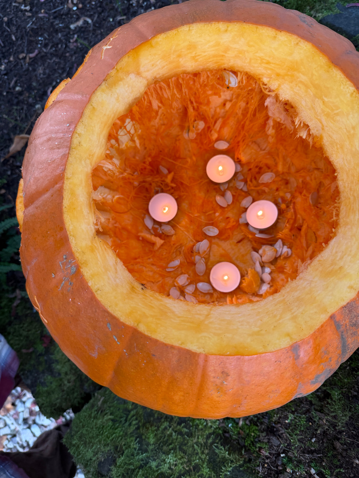 Original Pumpkin