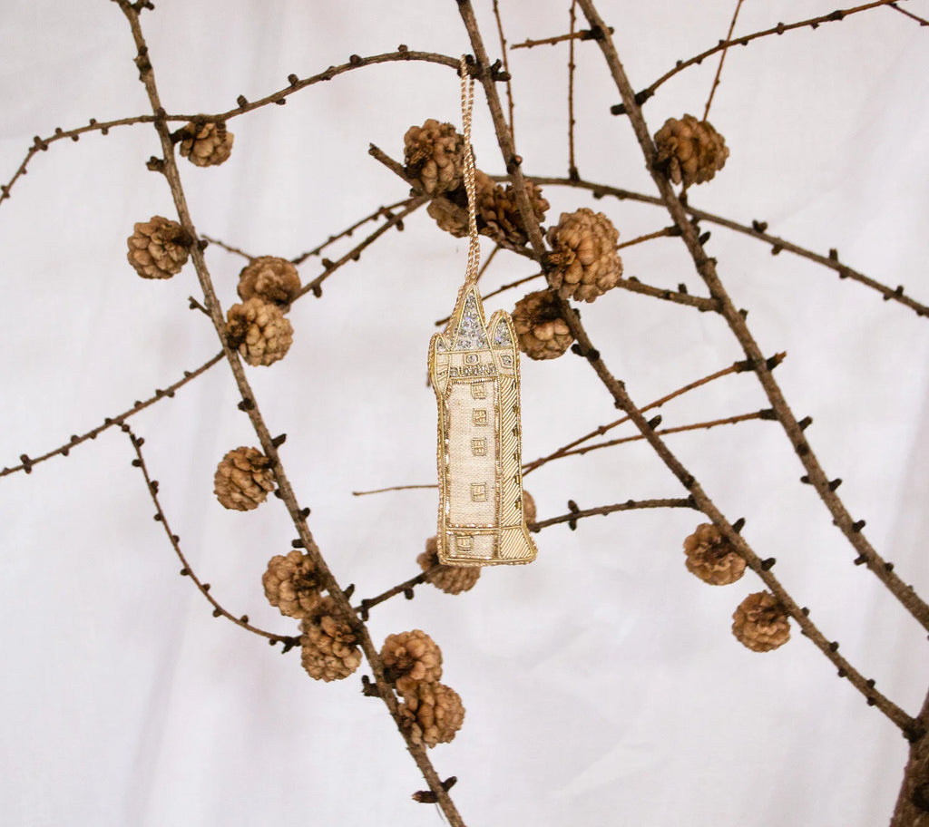 Fairytale Irish Tower (Scrabo)