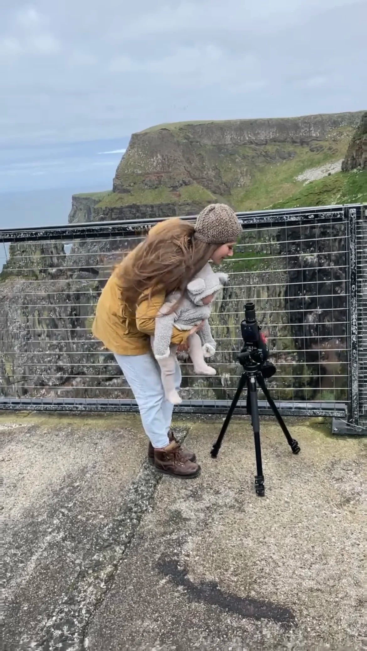 Rathlin Island Puffin