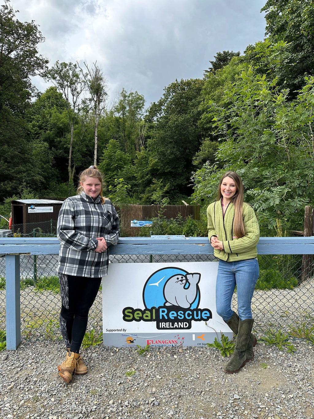 Irish Seal in Collaboration with 'Seal Rescue Ireland'