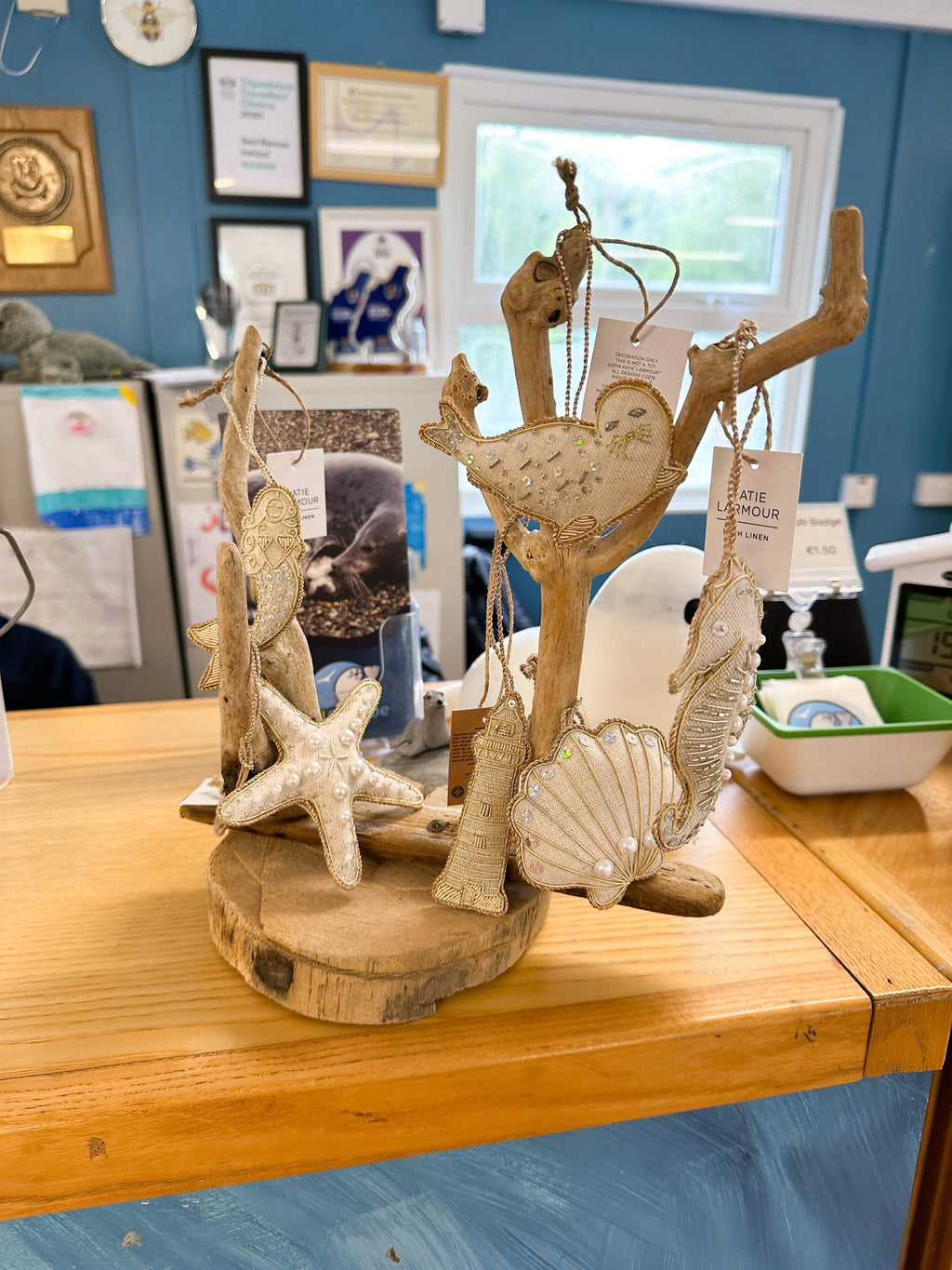 Irish Seal in Collaboration with 'Seal Rescue Ireland'