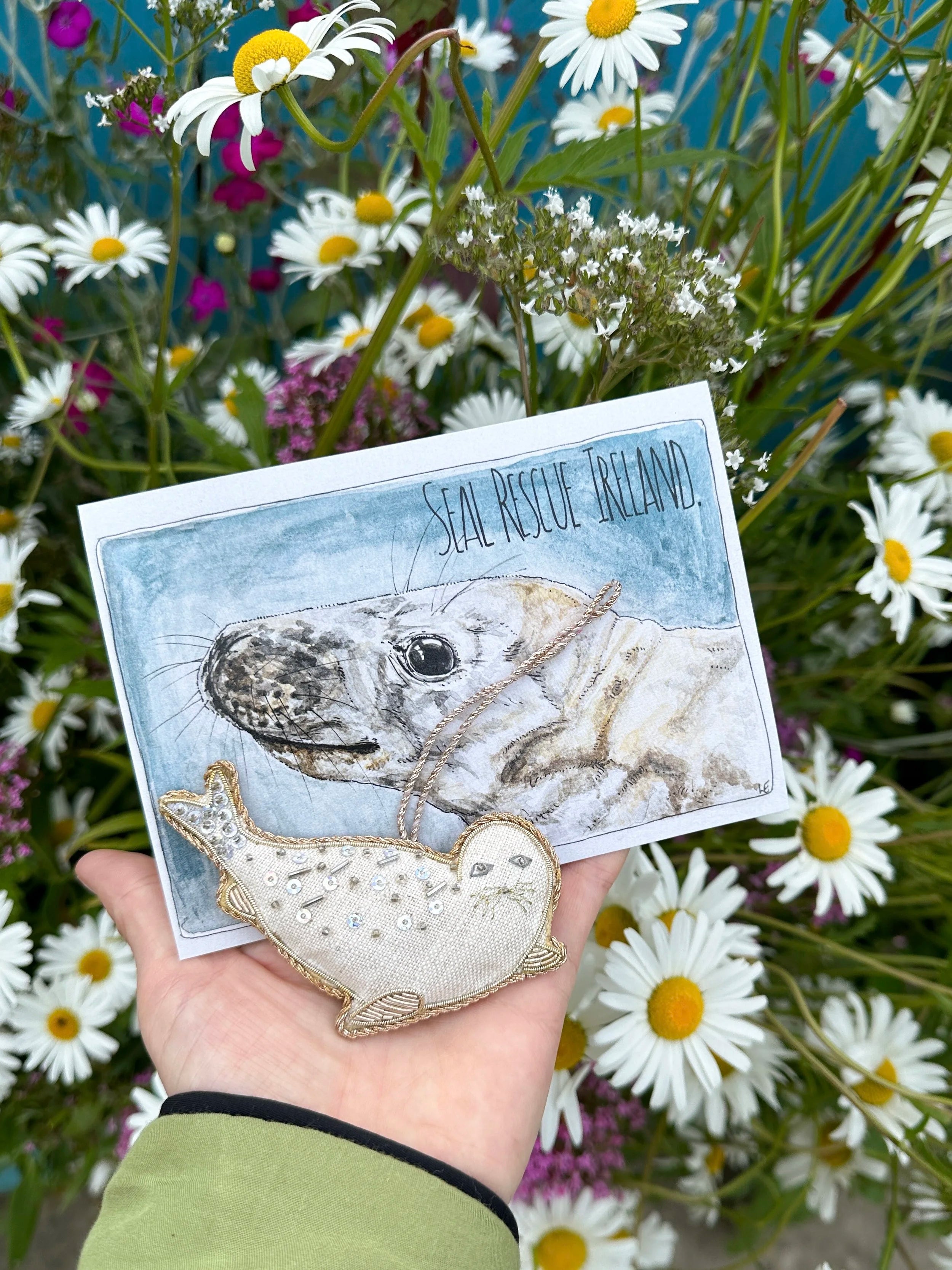 Irish Seal in Collaboration with 'Seal Rescue Ireland'