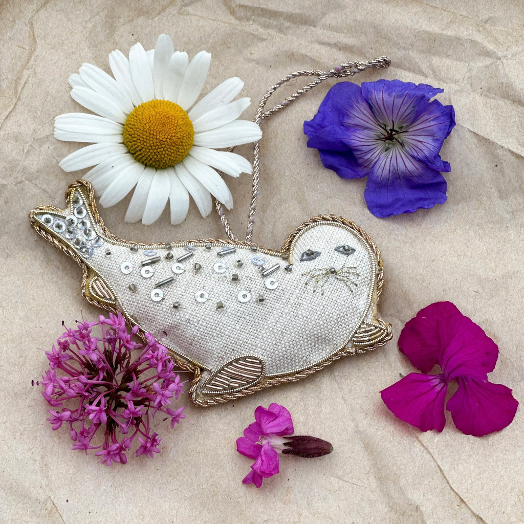 Irish Seal in Collaboration with 'Seal Rescue Ireland'