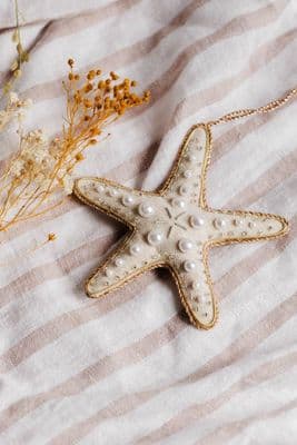 Starfish (last 4)